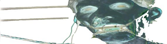 Free Speech. ������� �����. ���� ������ ����������. 