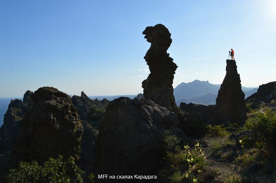 Free Speech. ������� �����. ���� ������ ����������.