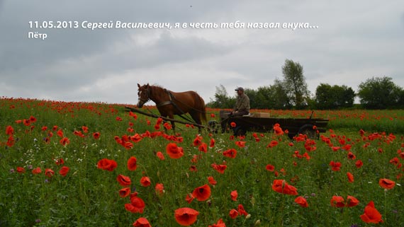 Free Speech. ������� �����. ���� ������ ����������.