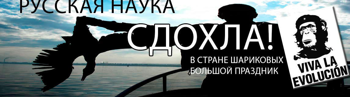 Free Speech. ������� �����. ���� ������ ����������. 