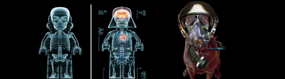 Free Speech. ������� �����. ���� ������ ����������.