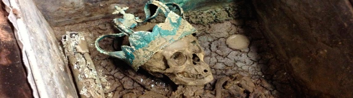 Free Speech. ������� �����. ���� ������ ����������.