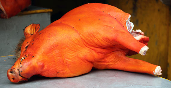 Free Speech. ������� �����. ���� ������ ���������� ���� ������ � ����� �����. ���� ������ ����������.