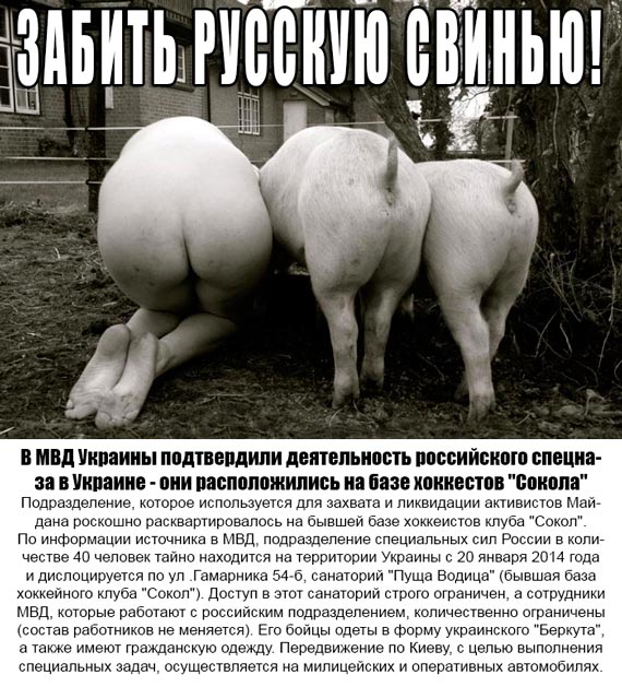 Free Speech. ������� �����. ���� ������ ����������.