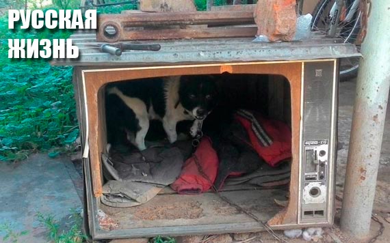 Free Speech. ������� �����. ���� ������ ����������.