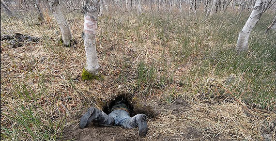 Free Speech. ������� �����. ���� ������ ����������.