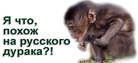 Free Speech. ������� �����. ���� ������ ����������.