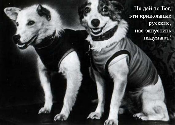 Free Speech. ������� �����. ���� ������ ����������.