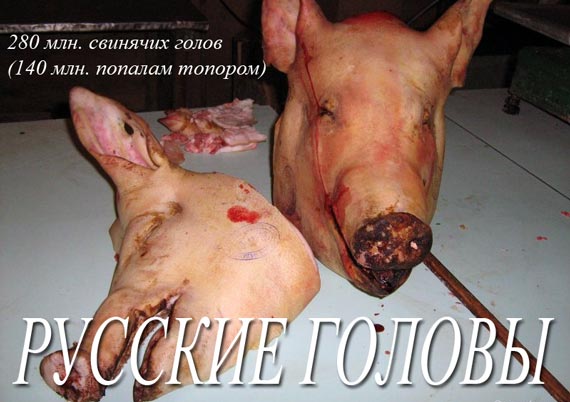 Free Speech. ������� �����. ���� ������ ����������.