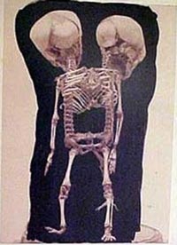 Free Speech. ������� �����. ���� ������ ����������.