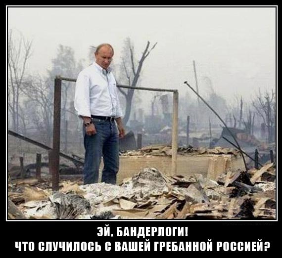 Free Speech. ������� �����. ���� ������ ����������.