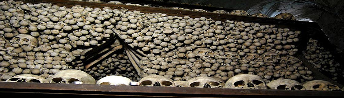 Free Speech. ������� �����. ���� ������ ����������.