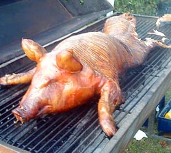 Free Speech. ������� �����. ������� ������ � ��� ������ �����.