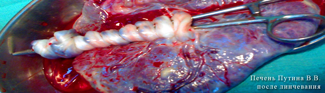 Free Speech. ������� �����. ���� ������ ����������.