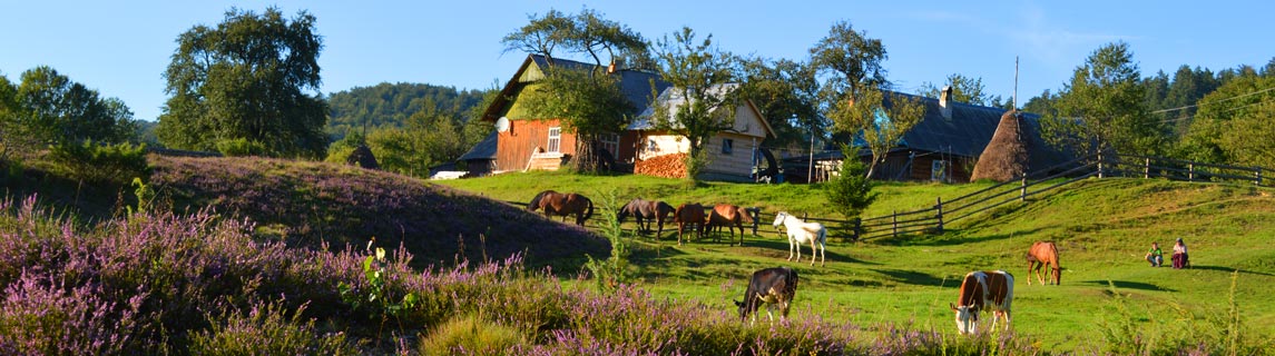 Free Speech. ������� �����. ���� ������ ����������.