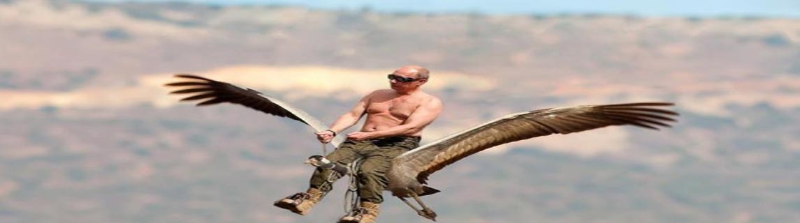 Free Speech. ������� �����. ���� ������ ����������.