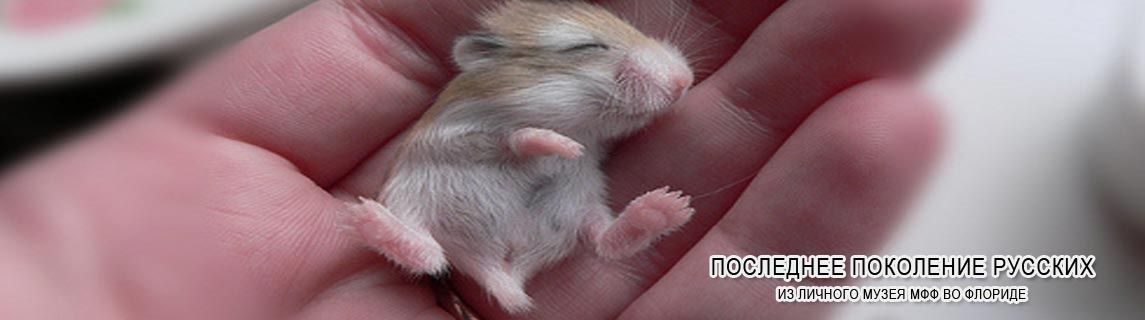 Free Speech. ������� �����. ���� ������ ����������.