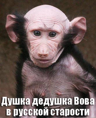 ������� �����. ���� ������ ����������.