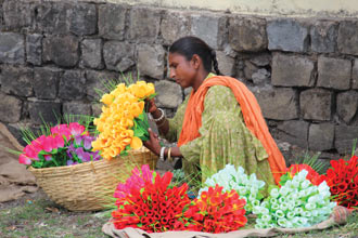 ������� �����. ���� ������ ����������. ���� ���.