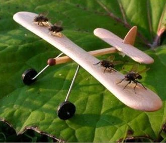 ���� ������ ����������.