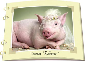 ���� ������ ����������.