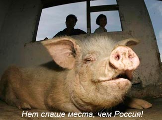 Free Speech. ������� �����. ���� ������ ����������. 