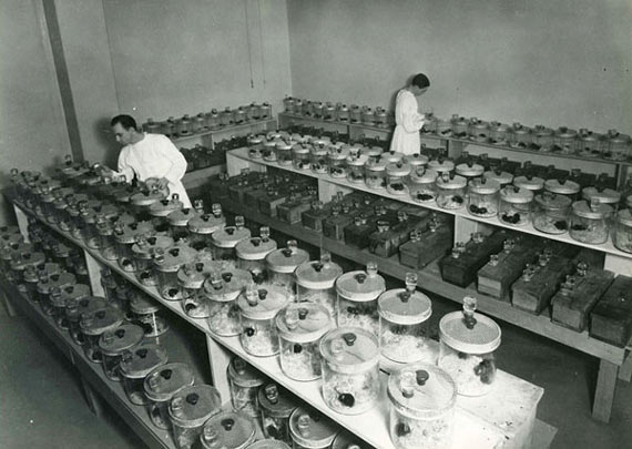 Free Speech. ������� �����. ���� ������ ����������.