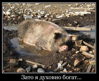 Free Speech. ������� �����. ���� ������ ����������.