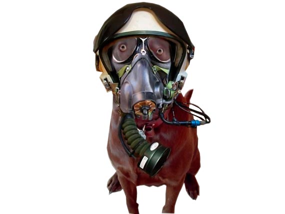 Free Speech. ������� �����. ���� ������ ����������.