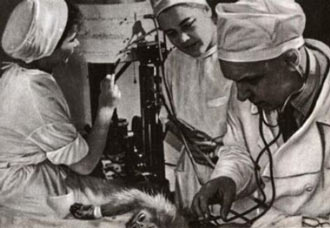 Free Speech. ������� �����. ���� ������ ����������. ������ �����������.