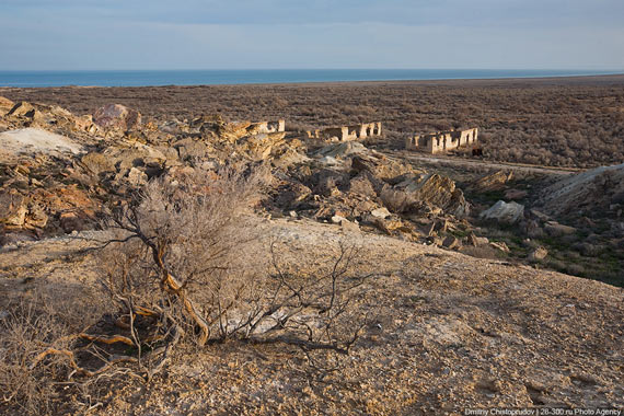 Free Speech. ������� �����. ���� ������ ����������. ������ �����������. ��� �������� ��������� ����.