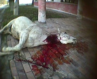 Free Speech. ������� �����. ���� ������ ����������. ������ �����������.