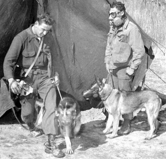 Free Speech. ������� �����. ���� ������ ����������. ������ �����������. ��� �������� ��������� ����.