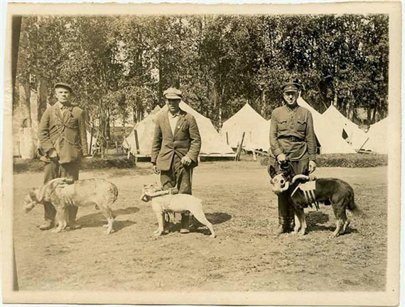 Free Speech. ������� �����. ���� ������ ����������. ������ �����������. ��� �������� ��������� ����.