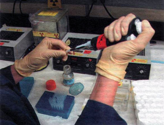 Free Speech. ������� �����. ���� ������ ����������. ������ �����������. ����� ��� �����.