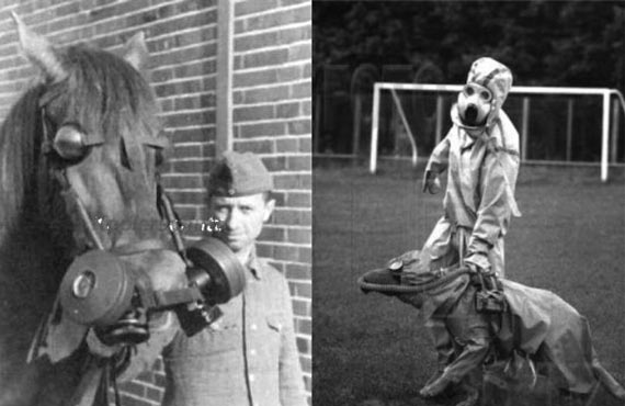 Free Speech. ������� �����. ���� ������ ����������. ������ �����������. ����� ��� �����.