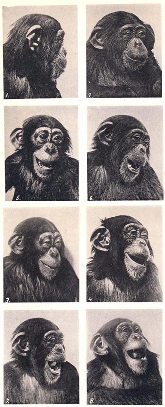 Free Speech. ������� �����.