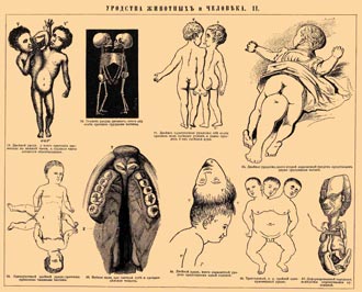 Free Speech. ������� �����.