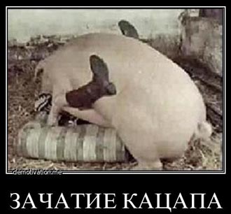 Free Speech. ������� ����� ������ ����������.