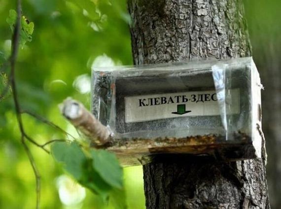 Free Speech. ������� ����� ������ ����������.