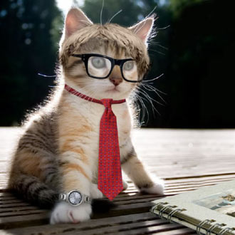 Free Speech. ������� ����� ������ ����������.