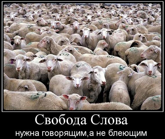 Free Speech. ������� ����� ������ ����������.