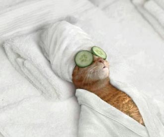 Free Speech. ������� ����� ������ ����������.