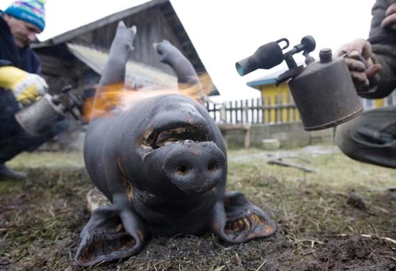 Free Speech. ������� ����� ������ ����������.