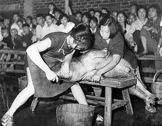 Free Speech. ������� ����� ������ ����������.