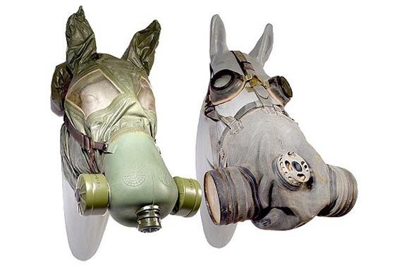 Free Speech. ������� ����� ������ ����������.