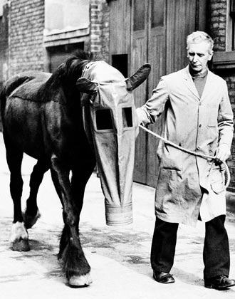 Free Speech. ������� ����� ������ ����������.