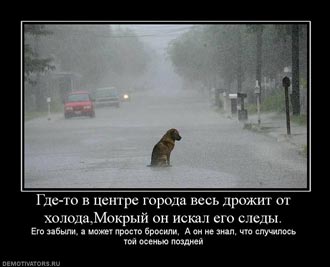 Free Speech. ������� �����. ������ � �������, �����������...