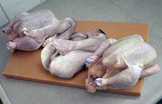 Free Speech. ������� �����.