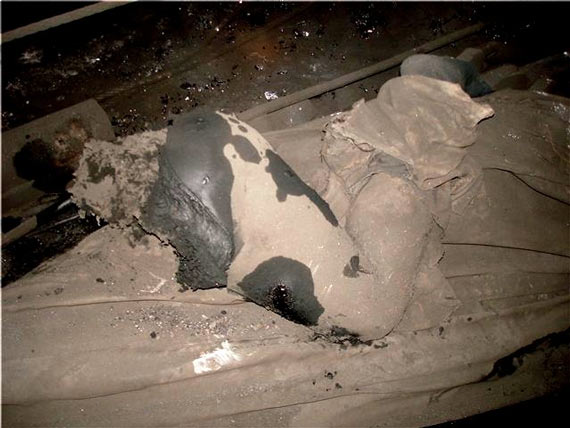 Free Speech. ������� �����.